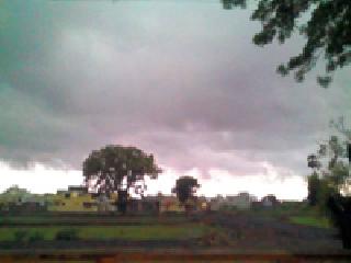 Heavy rain in Pusad subdivision | पुसद उपविभागात दमदार पाऊस Heavy rain in Pusad subdivision | पुसद उपविभागात दमदार पाऊस