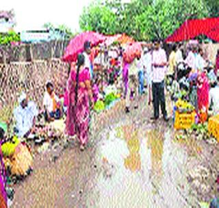 Vegetable infestation of disease! | भाजीपाल्यातून आजारांचा प्रादुर्भाव! Vegetable infestation of disease! | भाजीपाल्यातून आजारांचा प्रादुर्भाव!