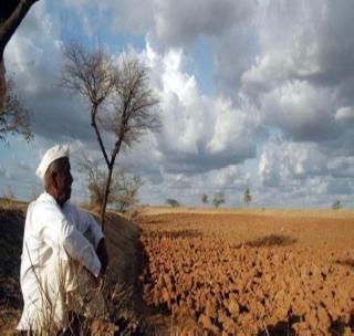 Farmers in Vidarbha wait for strong rain! | विदर्भातील शेतक-यांना दमदार सार्वत्रिक पावसाची प्रतीक्षा !