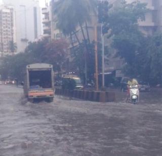 Heavy rains in Mumbai, local services disrupted | मुंबईत पावसाची जोरदार हजेरी, लोकल सेवा विस्कळित