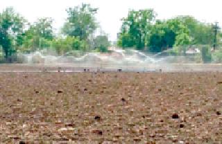 पेरणीला अद्यापही सिंचनाचाच आधार