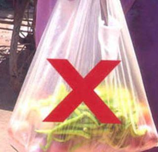 Ban on Alandi Plastic Bags | आळंदीत प्लॅस्टिक पिशव्यांवर बंदी