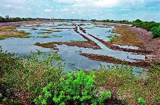 The base reached by the storage tank | साठवण तलावाने गाठला तळ