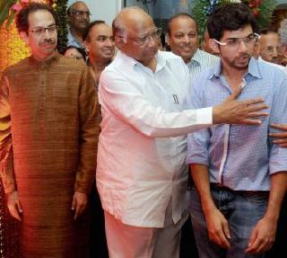 Shivsena is the 'mungalah' which is adorned with power - Sharad Pawar | शिवसेना ही तर सत्तेला चिकटलेला ‘मुंगळा’ - शरद पवार