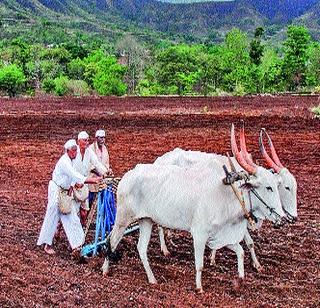 Sowing scarcity due to rain | पावसाअभावी पेरण्या रखडल्या