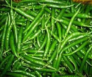 She ate half a kilo of green chillies and won her leg | अर्धा किलो हिरव्या मिरच्या खाऊन तिने पैज जिंकली