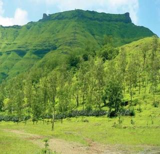 Rainy Picnic Points Near Mumbai | मुंबईजवळचे पावसाळी पिकनिक पॉईंट्स