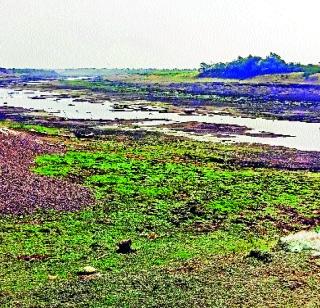 Rajgaon area waiting for strong rain | राजेगाव परिसर दमदार पावसाच्या प्रतीक्षेत