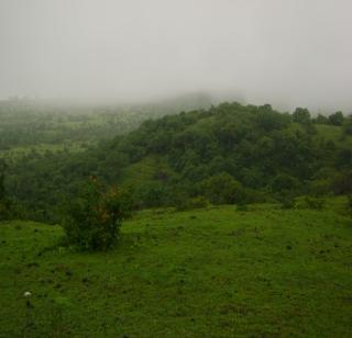 Picnic points: Mhasamal .. Mahabaleshwar of Marathwada | पिकनिक पॉईंट्स : म्हैसमाळ.. मराठवाड्याचे ‘महाबळेश्वर’