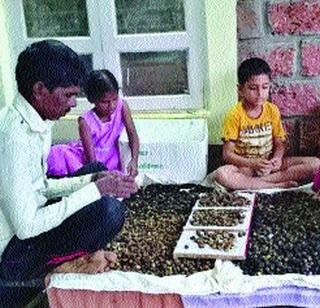 Seeding of the highway | महामार्गाच्या दुतर्फा बीजारोपण Seeding of the highway | महामार्गाच्या दुतर्फा बीजारोपण