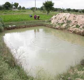 Deshpande's plan to downgrade the farmland! | ‘मागेल त्याला शेततळे’ योजनेचा बोजवारा!