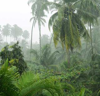 Monsoon rains by 11 percent in June | जून महिन्यात सरासरीपेक्षा ११ टक्के कमी बरसला मान्सून