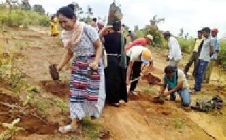 12 thousand trees of people's participation in Gopalganj | लोकसहभागातून १२ हजार वृक्षलागवड