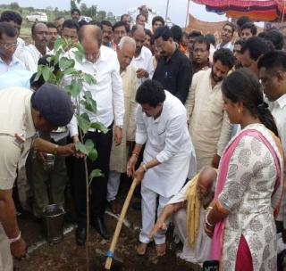 Tree planting time needed! | वृक्षलागवड काळाची गरज !