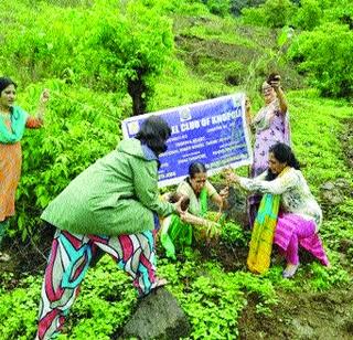 In Khalapur, 36,402 trees are planted | खालापूरमध्ये ३६,४०२ वृक्षांची लागवड In Khalapur, 36,402 trees are planted | खालापूरमध्ये ३६,४०२ वृक्षांची लागवड