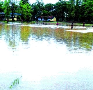 Hackers in Vikramgad water | विक्रमगडमधील खाचरे पाण्यात Hackers in Vikramgad water | विक्रमगडमधील खाचरे पाण्यात
