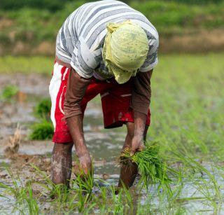 The demand of a girl to lend money to the landlord to rescue the mortgaged land | गहाण जमीन सोडवण्यासाठी सावकाराने शेतक-याकडे केली मुलीची मागणी