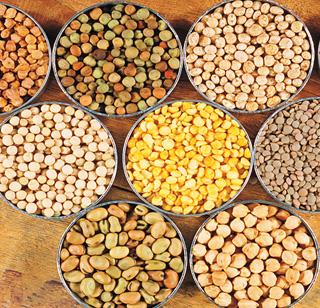 Now for India, Mozambique in Africa will be able to grow dal | आता भारतासाठी अफ्रिका खंडातील मोझमबिक पिकवणार डाळ