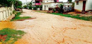 Heavy rain in Sakoli, Tumsar taluka | साकोली, तुमसर तालुक्यात अतिवृष्टी