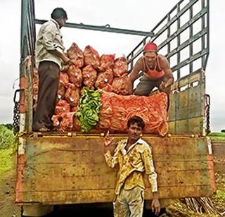 Nandani Vegetable | नांदणीचा भाजीपाला