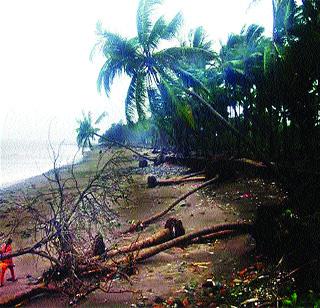 Survivors of Pirwadi Beach | लाटांच्या तडाख्यांनी पीरवाडी बीचची दुरवस्था