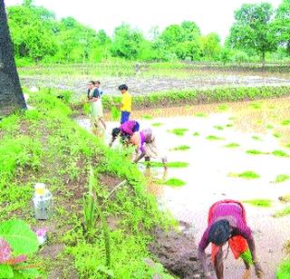 Modern farming should be adopted in agriculture | शेतीमध्ये आधुनिक पद्धतीचा अवलंब व्हावा