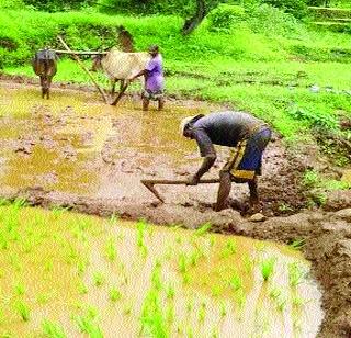 In Jawhar, the continuous rain | जव्हारमध्ये पावसाची संततधार