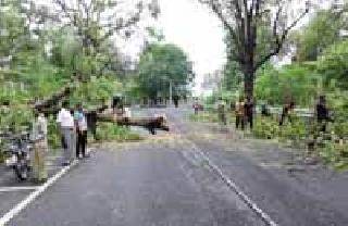 The traffic on the Nagpur route jammed for one hour | नागपूर मार्गावरील वाहतूक एक तास ठप्प