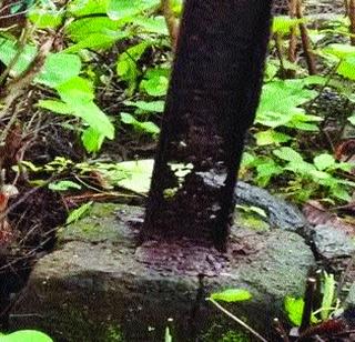 Rusty power pillars threatened | गंजलेले वीज खांब धोक्याचे