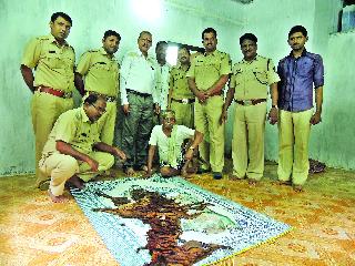 In the bar, the belt of the tiger was seized | वेळासमध्ये पट्टेरी वाघाचे कातडे जप्त In the bar, the belt of the tiger was seized | वेळासमध्ये पट्टेरी वाघाचे कातडे जप्त