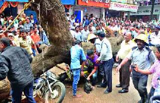 Three injured in tree collapse in lawyer | वकीलवाडीत वृक्ष कोसळून तीन जखमी