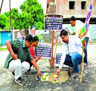 Flowers lily in potholes on the road! | रस्त्यावरील खड्डय़ांमध्ये फुलविले कमळ!