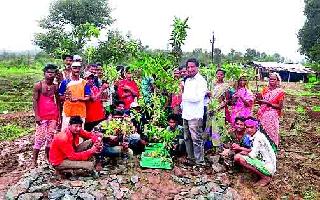 Successful cultivation of mangoes by Israel method | इस्राइल पद्धतीने आंब्याची यशस्वी लागवड