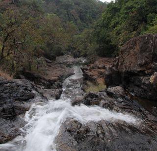 Bhaymagad sanctuary of Mhadei is also 10 km I wind up the buffer zone | म्हादईचे उगमस्थान भीमगड अभयारण्यालाही 10 कि. मी बफर झोन हवा