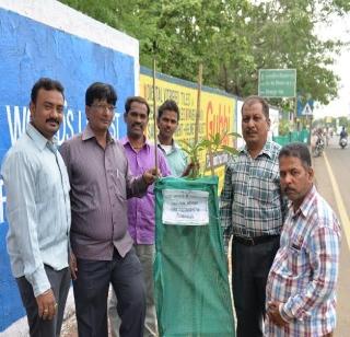 The cost of procession was avoided and 90 trees of avalanche were avoided | मिरवणुकीचा खर्च टाळला अन लावली ९० झाडे