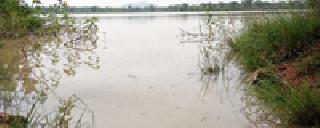 In the first rain, the lake in the district is filled | पहिल्याच पावसात जिल्ह्यातील तलाव भरले In the first rain, the lake in the district is filled | पहिल्याच पावसात जिल्ह्यातील तलाव भरले