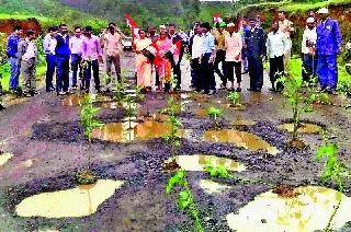 Plantation in the Pit | खड्ड्यातच वृक्षारोपण