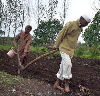 Aged farmer married to a married couple | वृद्ध शेतकरी दांम्पत्य जुंपले नांगरला