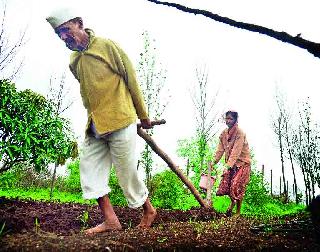 Why For .. For the Stomach: The Tragedy of a Minority Farmer | कशासाठी.. पोटासाठी : अल्पभूधारक शेतकऱ्याची शोकांतिका Why For .. For the Stomach: The Tragedy of a Minority Farmer | कशासाठी.. पोटासाठी : अल्पभूधारक शेतकऱ्याची शोकांतिका