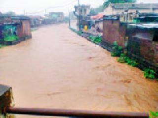 River in parava area, Nalla Phugale | पारवा परिसरातील नदी, नाले फुगले