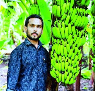 10 tons of banana production in one acre | एक एकरात १० टन केळीचे उत्पादन