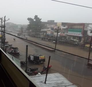 वाशिम जिल्ह्यात सर्वदूर पाऊस!