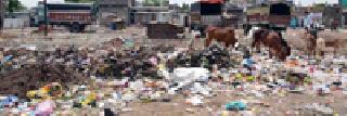 43 Contractors: 13 crores spent on cleanliness | ४३ कंत्राटदार : स्वच्छतेवर १३ कोटींचा खर्च 43 Contractors: 13 crores spent on cleanliness | ४३ कंत्राटदार : स्वच्छतेवर १३ कोटींचा खर्च