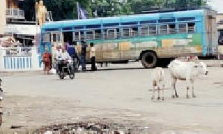 Traffic detention by bus | बसने वाहतुकीचा खोळंबा Traffic detention by bus | बसने वाहतुकीचा खोळंबा