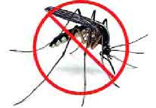 Danger of Dengue: Due to the absence of manpower, | डेंग्यूचा डंख : मनुष्यबळाअभावी महापालिकेची दमछाकाू Danger of Dengue: Due to the absence of manpower, | डेंग्यूचा डंख : मनुष्यबळाअभावी महापालिकेची दमछाकाू