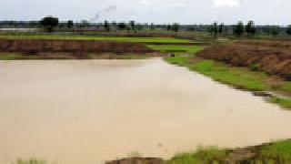 60 farmers have become waterlogged in the hillocks | ६० शेततळ्यांनी डोंगरहळदी शिवार झाले जलमय