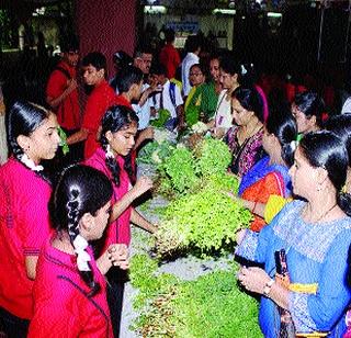 'Focus to Farm' unique initiative for children | चिमुकल्यांसाठी ‘फोक टू फार्म’ अनोखा उपक्रम 'Focus to Farm' unique initiative for children | चिमुकल्यांसाठी ‘फोक टू फार्म’ अनोखा उपक्रम
