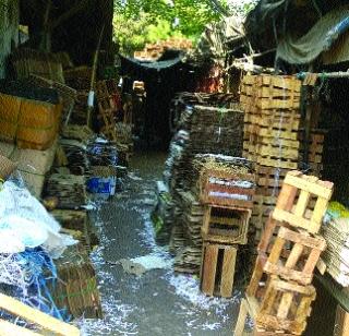 The seller of ganja is pretending to be a godfather | गांजा विक्रेता करतोय देवभक्त असल्याचे नाटक The seller of ganja is pretending to be a godfather | गांजा विक्रेता करतोय देवभक्त असल्याचे नाटक