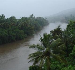 Raigad district rains, rain fall in distress | रायगड जिल्ह्यास पावसाने झोडपले, भातपिके अडचणीत Raigad district rains, rain fall in distress | रायगड जिल्ह्यास पावसाने झोडपले, भातपिके अडचणीत