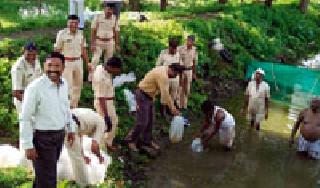 Fisheries in open jails | खुल्या कारागृहातील बंद्यांना मत्स्यपालनातून रोेजगार Fisheries in open jails | खुल्या कारागृहातील बंद्यांना मत्स्यपालनातून रोेजगार
